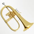 Flugelhorn Royalty Free Stock Photo