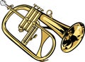 Flugelhorn Royalty Free Stock Photo