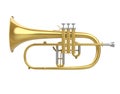 Flugelhorn Isolated