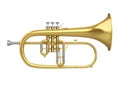 Flugelhorn Isolated Royalty Free Stock Photo