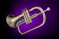 Flugelhorn Trumpet Isolated On Purple Royalty Free Stock Photo