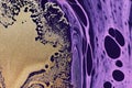 Fluid Art. Golden metallic abstraction and purple waves. Marble effect background or texture