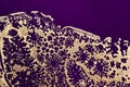 Fluid Art. Metallic gold openwork abstraction on purple background