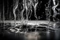 A fluid dynamics experiment capturing the graceful movement of liquids
