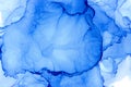 Fluid ink hand painted abstract background. Blue and ultramarine colors. Royalty Free Stock Photo