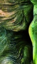 Fluid lines of green colors movement Royalty Free Stock Photo