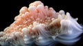 Fluid Symphony: Exploring Super Macro Absorption of Soap Foam