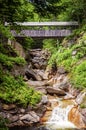 New Hampshire Flume Gorge Sentinel Pine Covered Bridge Royalty Free Stock Photo