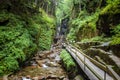 Flume Gorge in Lincoln New Hampshire White mountains Royalty Free Stock Photo