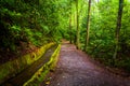 Flume and trail at Mingus Mill, Great Smoky Mountains National P Royalty Free Stock Photo