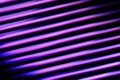 Fluorescent background. Blur curved texture. Futuristic light. Defocused neon pink purple blue color diagonal stripes Royalty Free Stock Photo