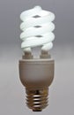 Fluorescent bulb