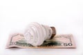 Fluorescent bulb with money Royalty Free Stock Photo
