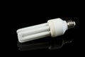 Fluorescent energy saving lamps on black isolated background. on the glass Royalty Free Stock Photo