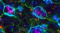 A fluorescent image capturing the changes in cell shape and cytoskeletal structure as a cell responds to external