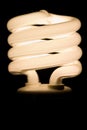 Fluorescent Light Bulb Royalty Free Stock Photo