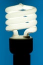 Fluorescent Light Bulb Royalty Free Stock Photo