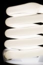 Fluorescent light bulb isolated on black background. Economical home lighting. Energy saving concept. Royalty Free Stock Photo