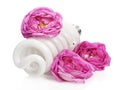 Fluorescent light bulb among roses Royalty Free Stock Photo