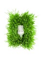 Fluorescent lightbulb on grass Royalty Free Stock Photo