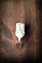 Fluorescent lightbulb on wood Royalty Free Stock Photo