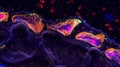 Fluorescent microscopy image of the synaptic cleft showcasing the glowing markers that indicate the presence of