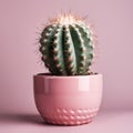 Fluorescent neon cactus on pastel pink background. Singular pastel pink cactus.