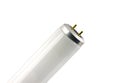 Fluorescent tube Royalty Free Stock Photo