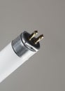 Fluorescent tube Royalty Free Stock Photo