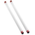 Fluorescent tube compact lamps isolated