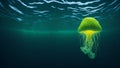 fluorescent yellow Jellyfish floating in the sea. Underwater scene. 3D rendering Royalty Free Stock Photo