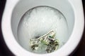 Flush money down the toilet Royalty Free Stock Photo