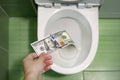 Flush money down the toilet, throws dollar bills in the toilet, loss concept, close up, selective focus Royalty Free Stock Photo