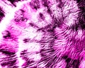 Flush Spiral Tie Dye Shibori. Roseate Swirl Watercolor Vintage. Pink Ink Japanese Art. Blush Brush Painting. Fuchsia Hard Grunge.