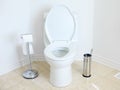 Flush toilet Royalty Free Stock Photo