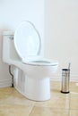 Flush toilet Royalty Free Stock Photo