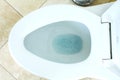 Flush toilet Royalty Free Stock Photo