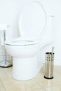 Flush toilet Royalty Free Stock Photo