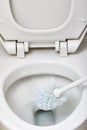 Flush toilet bowl cleaning. Royalty Free Stock Photo