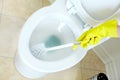 Flush toilet. Cleaning