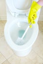 Flush toilet. Cleaning