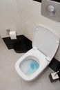 Flushed toilet Royalty Free Stock Photo
