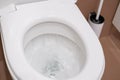 flushing water in toilet to demonstrate personal hygiene act, process of flushing water, clean and well-maintained toilet, Royalty Free Stock Photo