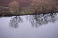 River Landscape With Water Fowl