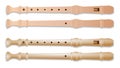 set flute musical instrument in different color.