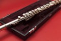 Flute in a black box Royalty Free Stock Photo
