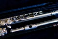 Flute in case diagonal Royalty Free Stock Photo