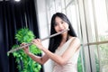 Flute classical instrument profestional player playing song. A young and elegant Asian woman plays the flute. Vintage Stye