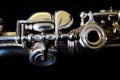 Flute detail - music concept Royalty Free Stock Photo