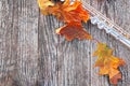 Flute and Fallen Autumn Leaves on Wooden Boards Royalty Free Stock Photo